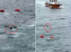 خفر السواحل التركي ينقذ راكبًا سقط من العبارة في إسطنبول