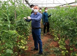 مزارعو أنطاليا يواصلون العمل والإنتاج رغم كورونا