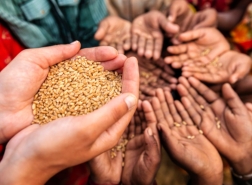 الأمم المتحدة: 4 دول مهددة بالمجاعة إحداها عربية