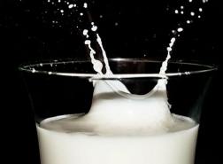 الأردن: مطالبات بالسماح باستيراد الأبقار لمواجهة النقص في إنتاج الحليب