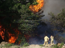 اعتقال شخصين بسبب حرائق الغابات في جنوب تركيا