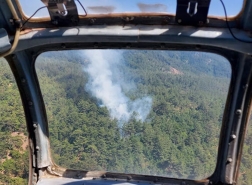 تركيا تصلح ما أفسدته النيران بزراعة الأشتال في هاتاي