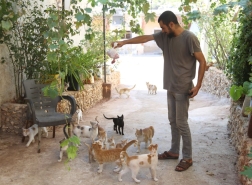 شاب سوري يعتني بـ 35 قطة تركها أصحابها هربا من القصف في إدلب (صور)