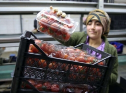 حرب أوكرانيا تخفض أسعار الفواكه والخضراوات بنسبة 50٪ في تركيا