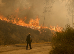 تركيا تشهد 1171 حريق غابات صيف 2021