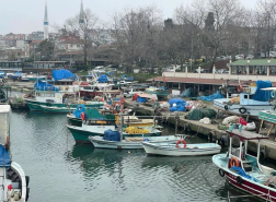 انتهاء موسم الصيد في تركيا.. توقعات بارتفاع أسعار الأسماك