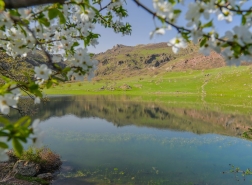 بحيرة سولوكلو التركية تتزين بأزهار الربيع (صور)