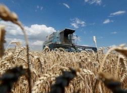صادرات الحبوب تجلب لتركيا 6.3 مليار دولار في 7 أشهر