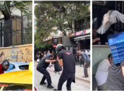 صراع مستعر بين أصحاب المتاجر والغربان في كاديكوي بإسطنبول (صور)
