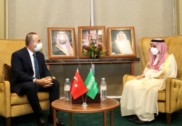 جانب من لقاء وزير الخارجية التركي مولود تشاويش أوغلو مع نظيره السعودي في النيجر
