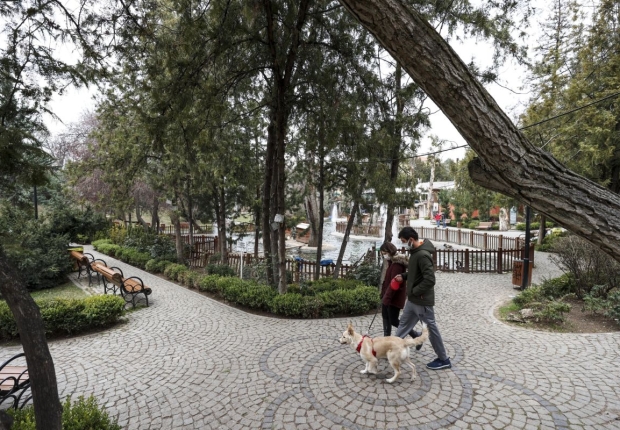 زوجان يسيران برفقة كلبهما في العاصمة التركية أنقرة