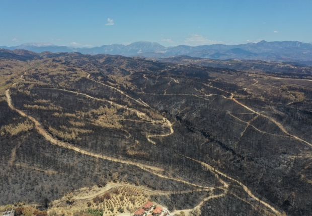 من آثار الحرائق التي طالت الغابات في تركيا