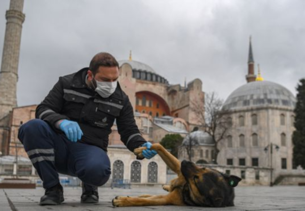 انخفاض في أعداد الإصابات اليومية بفيروس كورنا في أكبر 3 مدن بتركيا