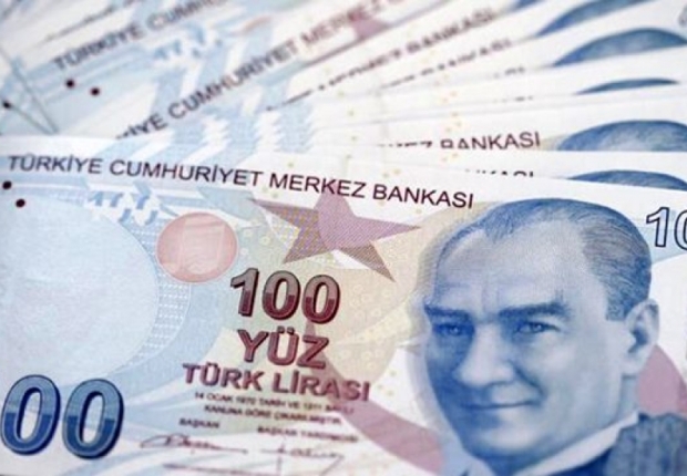 100 ليرة تركية