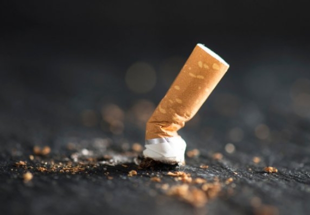 تشمل هذه القوانين حظر بيع التبغ لأي شخص من مواليد أول يناير 2009