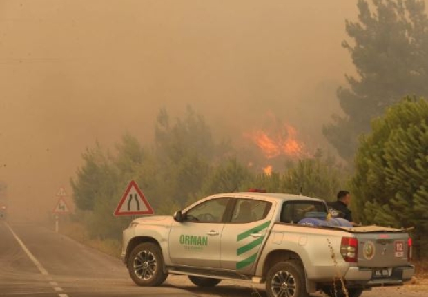 النيران تلتهم الغابات في المنطقة