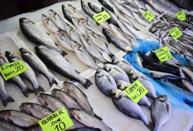حظر الصيد في البحار سيبدأ غدًا - صحيفة ستارز