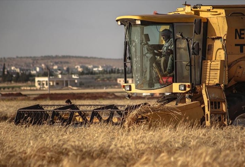 محصول القمح في سوريا - الأناضول