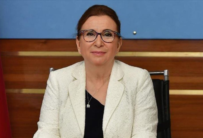 وزيرة التجارة التركية، روهصار بكجان-صورة أرشيفية