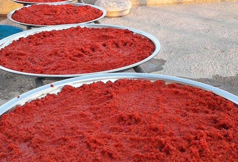 ارتفاع صادرات تركيا من معجون الطماطم بنسبة 4.37٪ في فترة الأشهر الثمانية