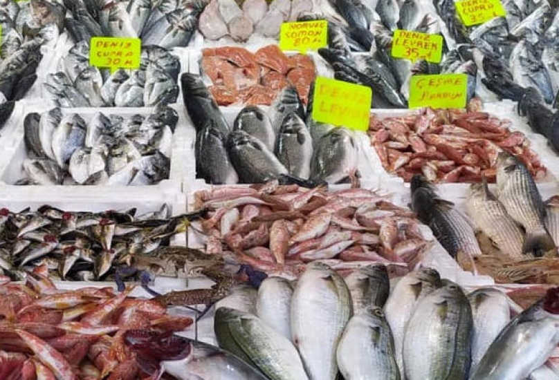أعداد الأسماك زادت بسرعة بعد التنفيذ الصارم لقانون مكافحة الصيد غير القانوني
