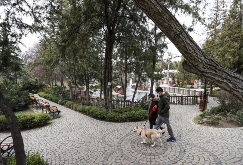 زوجان يسيران برفقة كلبهما في العاصمة التركية أنقرة