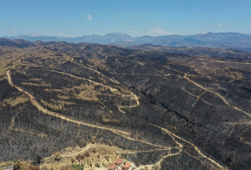 من آثار الحرائق التي طالت الغابات في تركيا