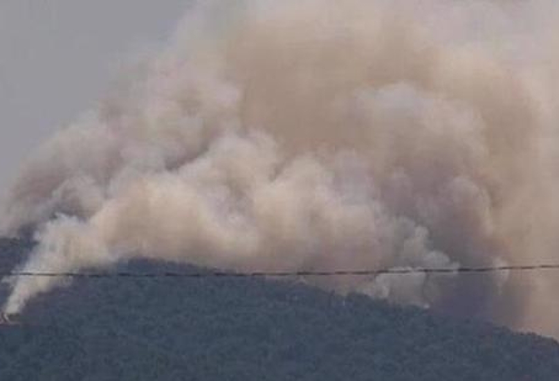 اندلاع حريق في منطقة الغابات في جزيرة هايبيليادا
