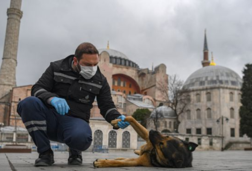 انخفاض في أعداد الإصابات اليومية بفيروس كورنا في أكبر 3 مدن بتركيا