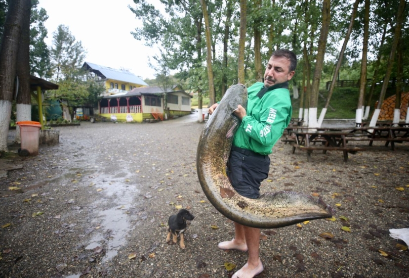 يبلغ طول السمكة نحو متر و80 سنتيمترا، ووزنها 51 كيلوغراما-الأناضول