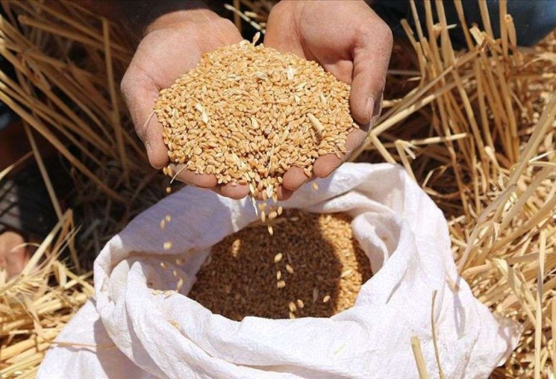 تركيا دولة تتمتع باكتفاء ذاتي من القمح