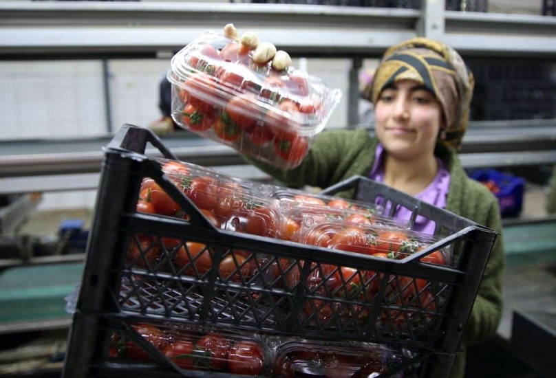 فتاة تختار علبة طماطم من قفص في أنطاليا التركية