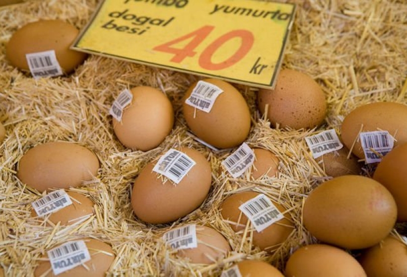 زيادة في أسعار البيض بتركيا تقدر بـ 40 في المائة