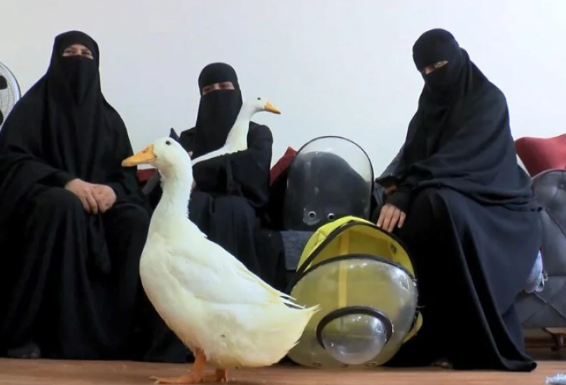 المواطنات العراقيات يكذبن حقيقة فيديو يتهمهن بسرقة البط من احدى حدائق اسطنبول