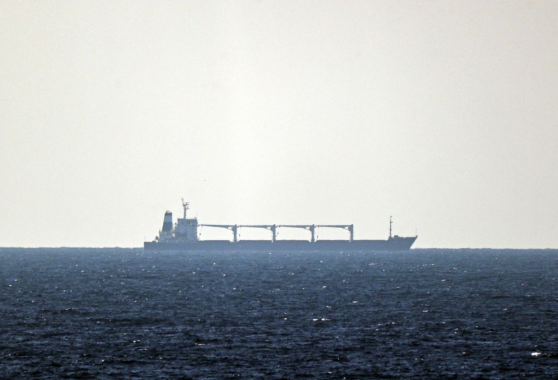 سفينة الحبوب الأوكرانية تصل اسطنبول-الأناضول