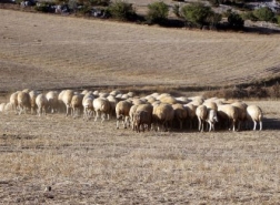 في تركيا.. يكافحون للعثور على عمّال رغم كل العروض المغرية