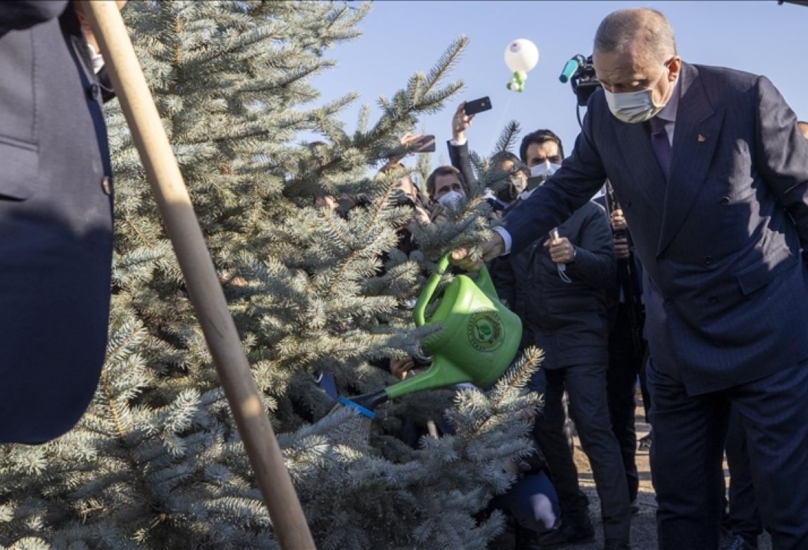 أردوغان يشارك في فعالية لزراعة الشتلات في العاصمة التركية أنقرة