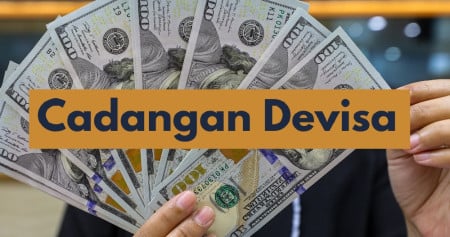 Cadangan Devisa