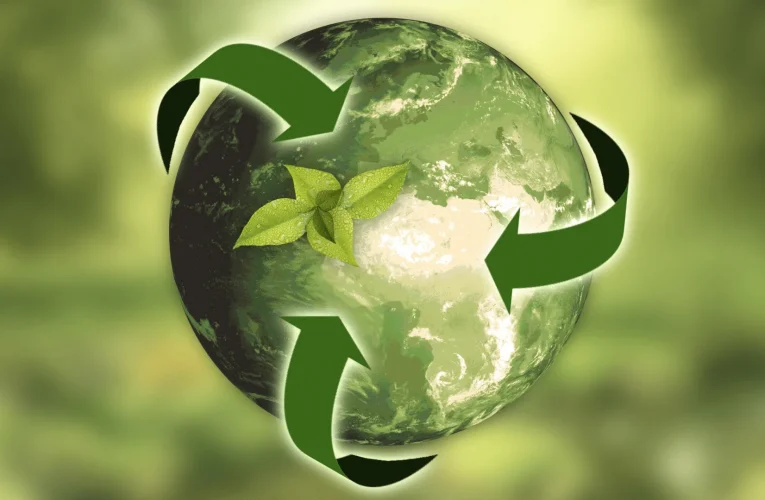 Mewujudkan Masa Depan Berkelanjutan Lewat Economy Circular