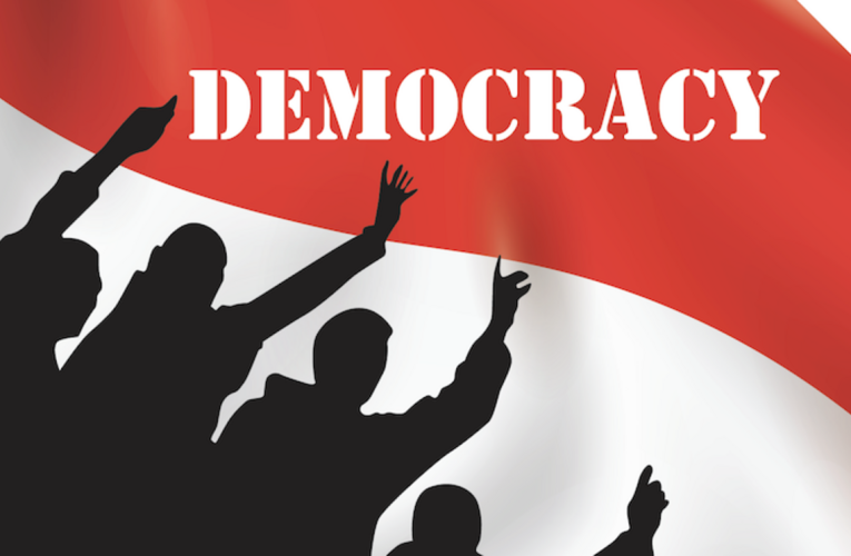 Democracy Challenges: Threats to Free and Fair Elections – Lessons, Mistakes, and Stories from the Ground
