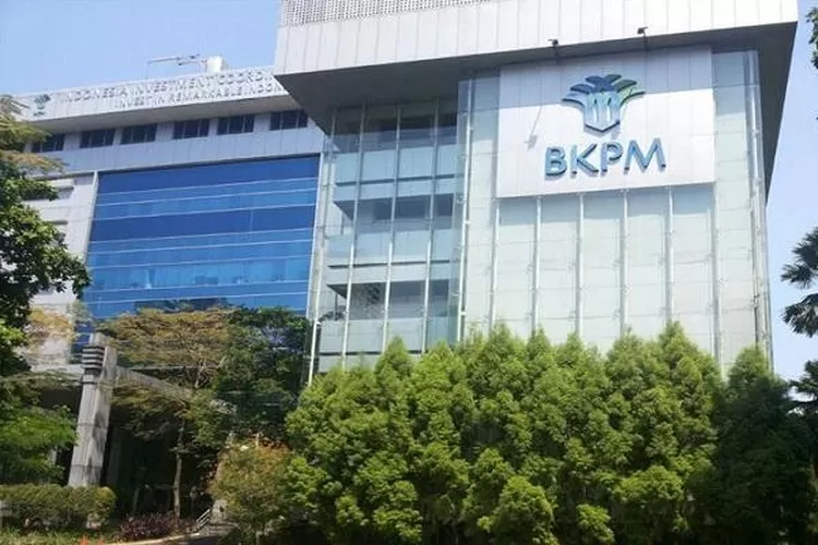 Badan Koordinasi Penanaman Modal: Investasi Ekonomi Indonesia