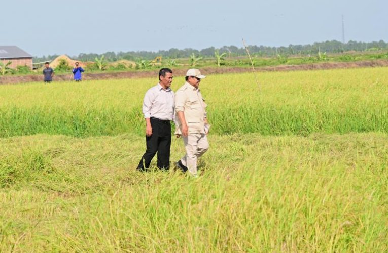 Pertumbuhan Sektor Pertanian: Stabilitas Ekonomi Indonesia