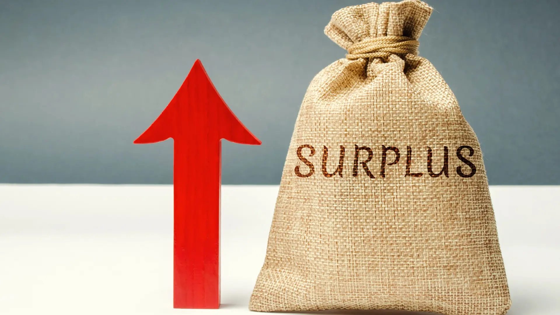 Surplus Produsen