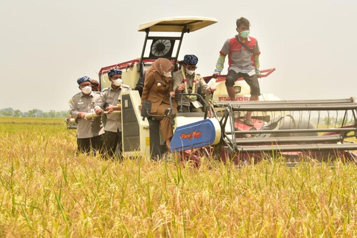 Sektor Pertanian dan Inovasi Teknologi Modern
