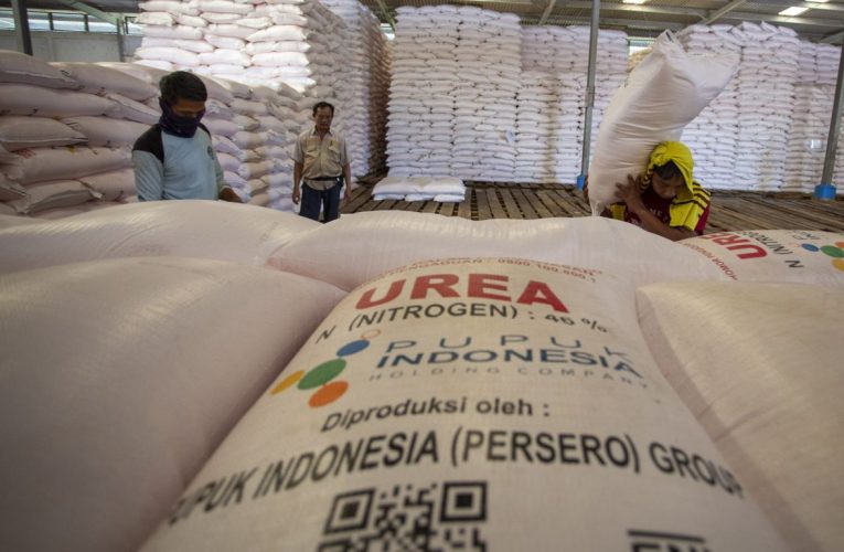 Kebijakan Subsidi Pemerintah: Antara Harapan dan Tantangan