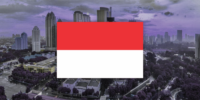 Political History indonesia