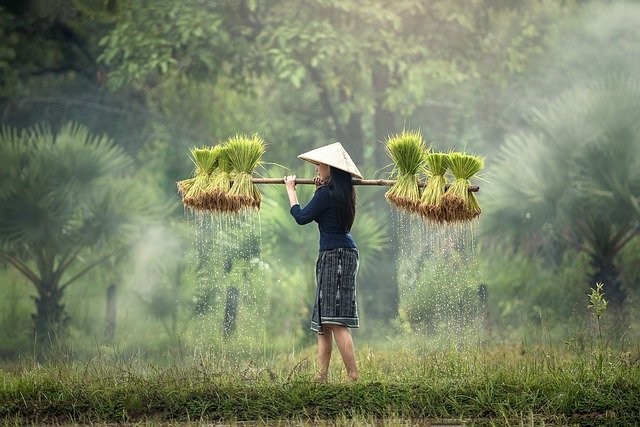 Industri Primer: Pengertian, Contoh, dan Jenisnya