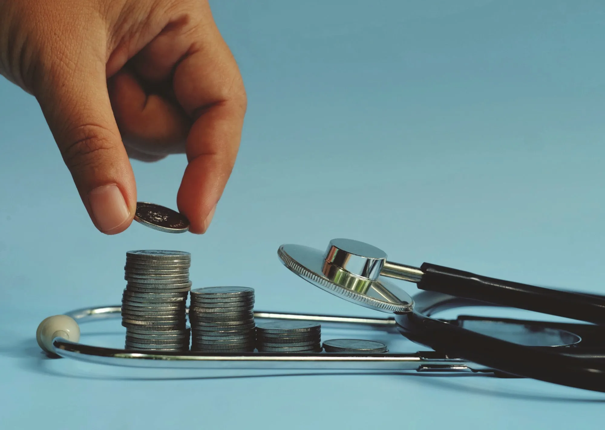 Fiscal Sustainability