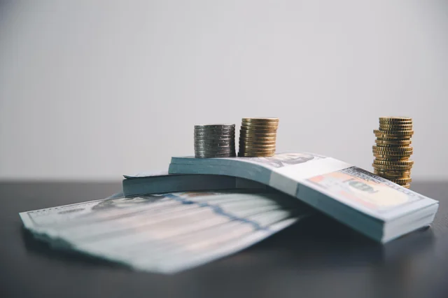 Fiscal Sustainability