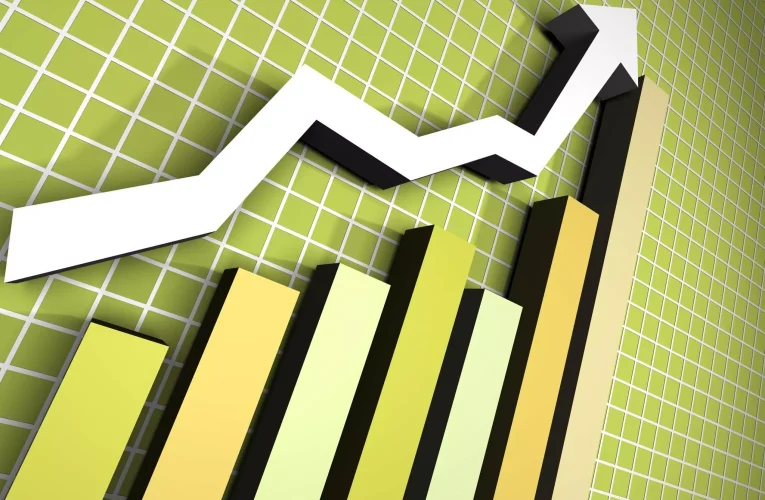 Real Sector: Tulang Punggung Pertumbuhan Ekonomi Nasional